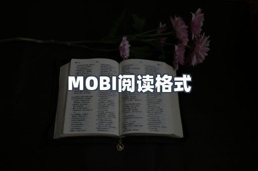 MOBI阅读格式